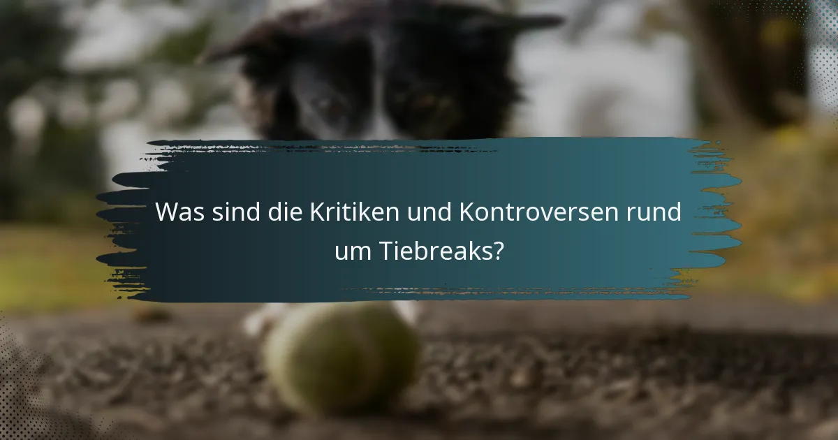 Was sind die Kritiken und Kontroversen rund um Tiebreaks?