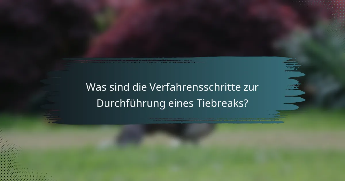 Was sind die Verfahrensschritte zur Durchführung eines Tiebreaks?