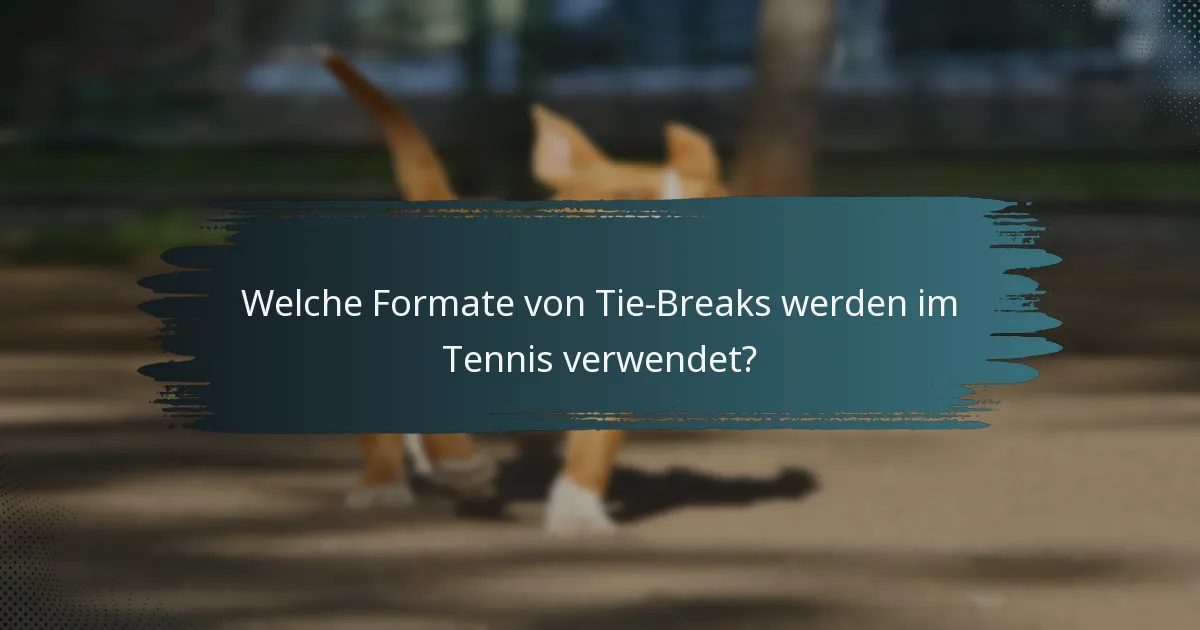 Welche Formate von Tie-Breaks werden im Tennis verwendet?