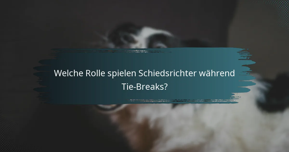 Welche Rolle spielen Schiedsrichter während Tie-Breaks?