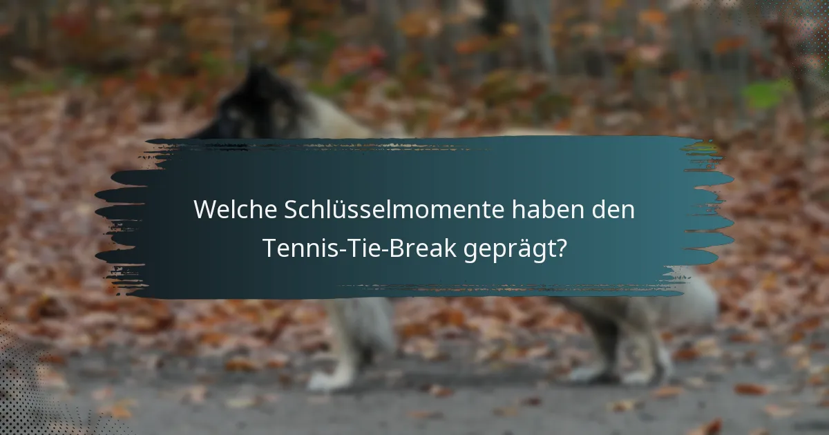 Welche Schlüsselmomente haben den Tennis-Tie-Break geprägt?