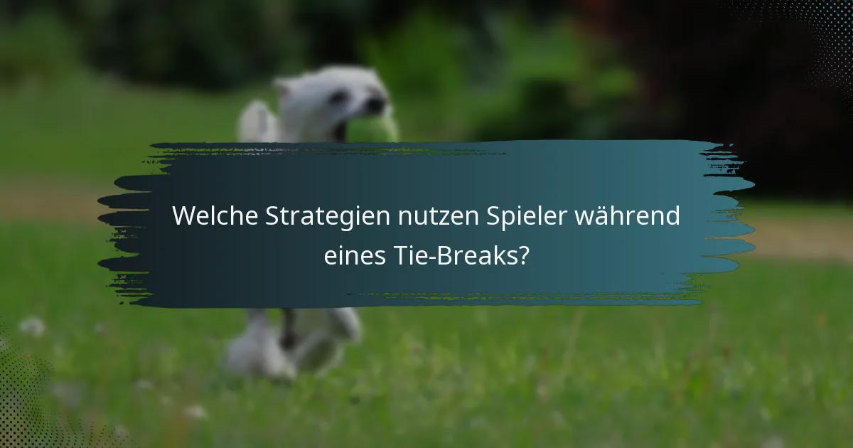 Welche Strategien nutzen Spieler während eines Tie-Breaks?