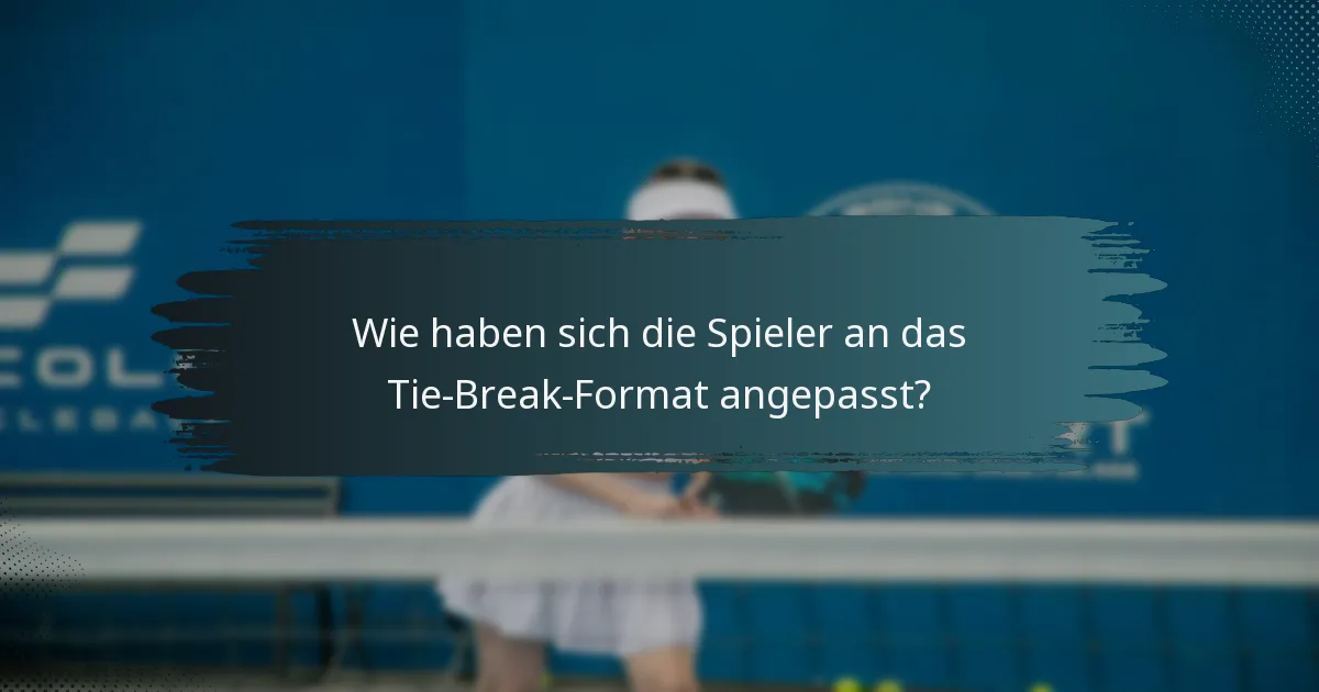 Wie haben sich die Spieler an das Tie-Break-Format angepasst?