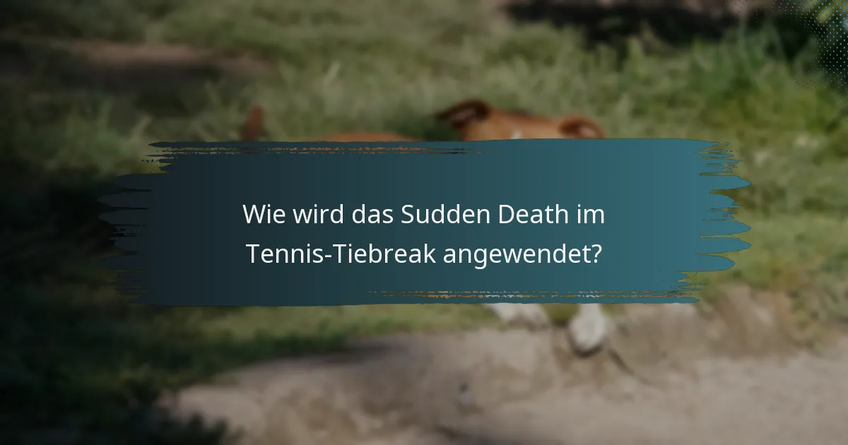 Wie wird das Sudden Death im Tennis-Tiebreak angewendet?
